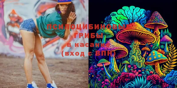 таблы Алзамай